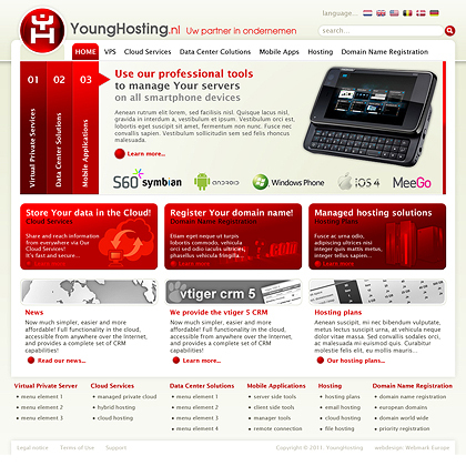 Young Hosting Young Hosting